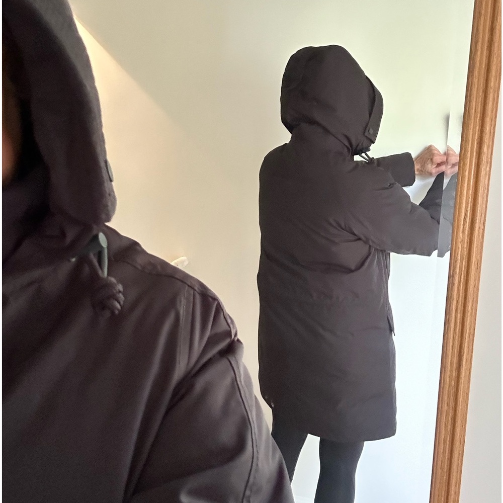 Everlane Black Hooded Puffer Coat